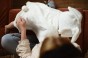 samiboo-pierwszy-wspolny-rok-me-myself-and-em027-scaled-e1623877215139.jpeg
