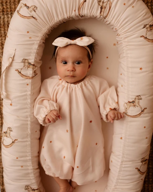 Rocking Horses babynest.jpg