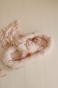 image00012.jpeg