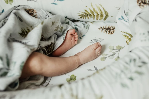 Baby nest Samiboo forest.jpg
