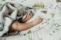 Baby nest Samiboo forest.jpg