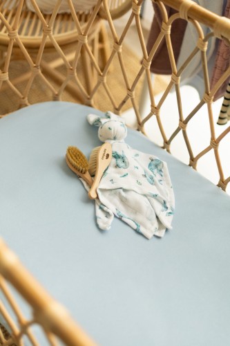 mdm-03.jpg